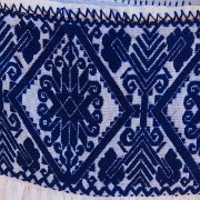 Cuauxicala _huauchinango09